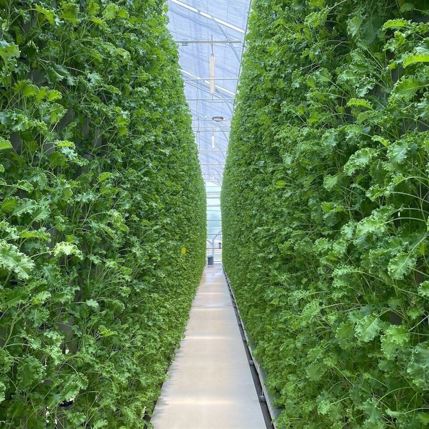 FoodTech