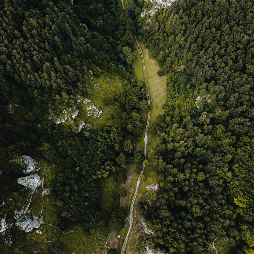 Nature-based solutions